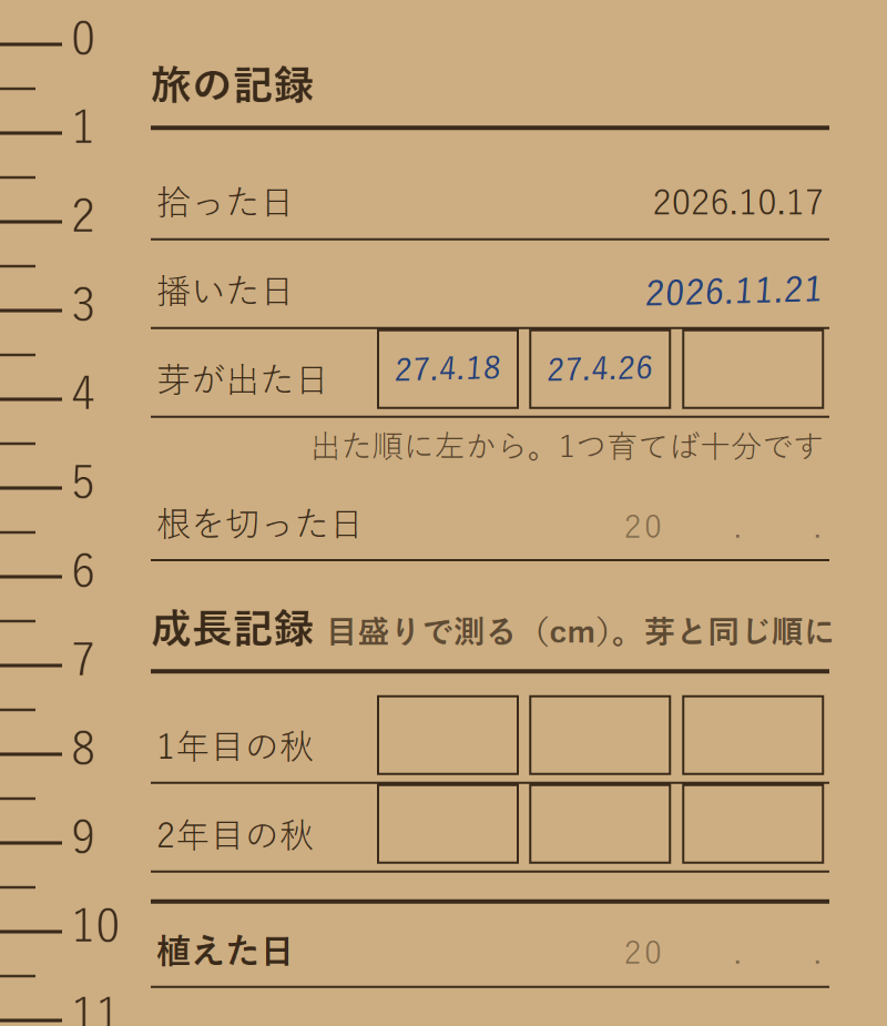苗のパスポートの裏面。拾った日、播いた日、芽が出た日、根を切った日、成長記録、植えた日を書く欄がある。播いた日と芽が出た日に、記入例が青い字で書いてある。
